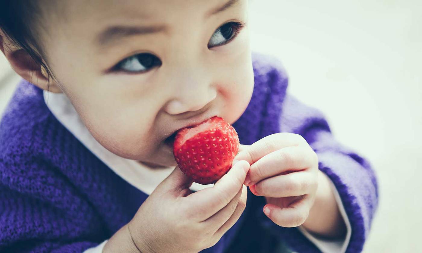 Toddler eating a strawberry