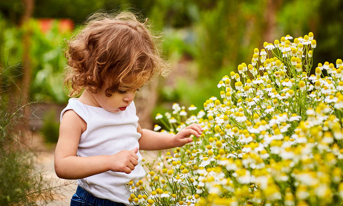 Little girl picking flowers in a garden