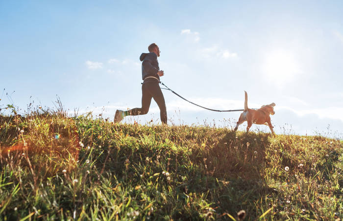 Man runs with his beagle dog at sunny morning