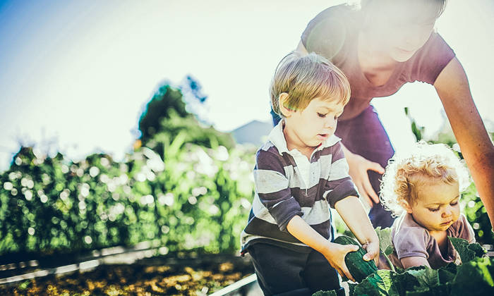 Mother and children picking vegetables